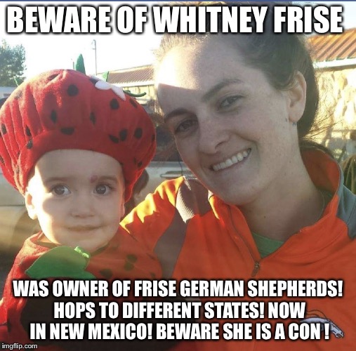 BEWARE OF WHITNEY FRISE; WAS OWNER OF FRISE GERMAN SHEPHERDS! HOPS TO DIFFERENT STATES! NOW IN NEW MEXICO! BEWARE SHE IS A CON ! | image tagged in dog scammer | made w/ Imgflip meme maker