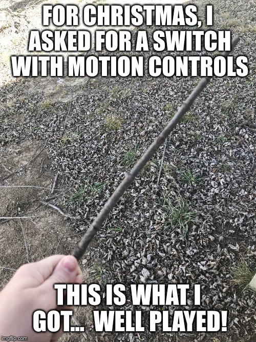 Not the Nintendo switch that you are looking for | FOR CHRISTMAS, I ASKED FOR A SWITCH WITH MOTION CONTROLS; THIS IS WHAT I GOT...  WELL PLAYED! | image tagged in nintendo,switch | made w/ Imgflip meme maker