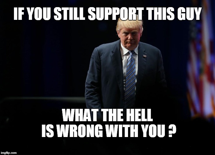 IF YOU STILL SUPPORT THIS GUY; WHAT THE HELL IS WRONG WITH YOU ? | image tagged in trump | made w/ Imgflip meme maker