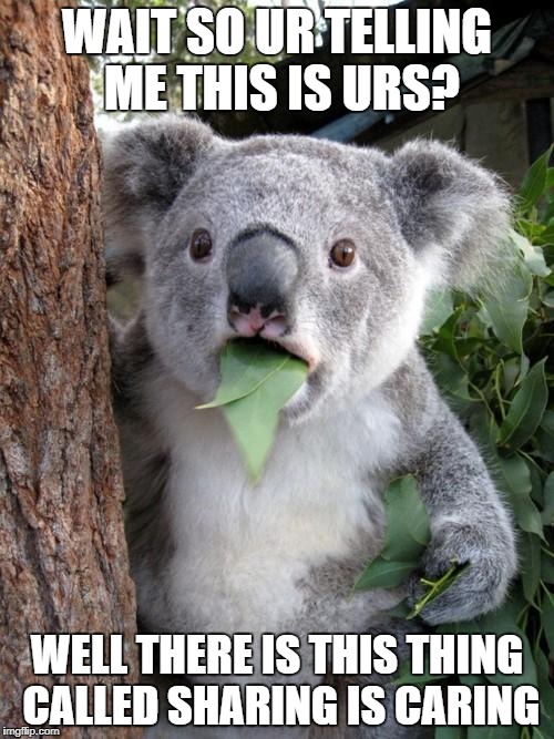 Surprised Koala Meme | WAIT SO UR TELLING ME THIS IS URS? WELL THERE IS THIS THING CALLED SHARING IS CARING | image tagged in memes,surprised koala | made w/ Imgflip meme maker