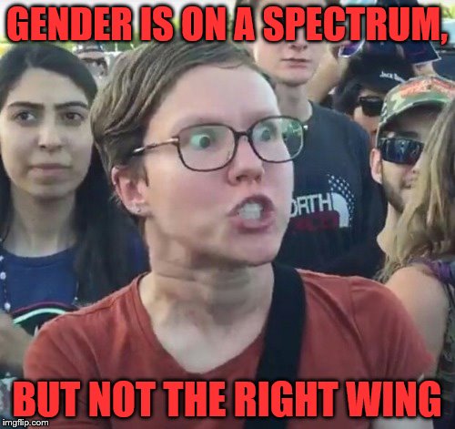 Only a sith deals in absolutes | GENDER IS ON A SPECTRUM, BUT NOT THE RIGHT WING | image tagged in memes,libtards,gender,spectrum | made w/ Imgflip meme maker