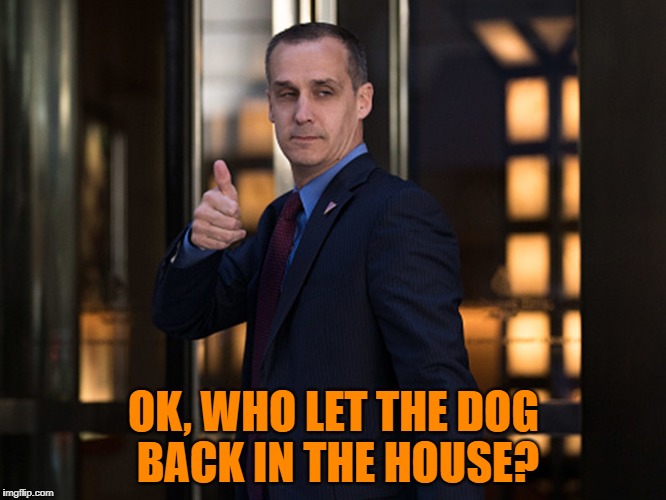 Who Let The Dog In | OK, WHO LET THE DOG BACK IN THE HOUSE? | image tagged in lewandowski,corey lewandowski | made w/ Imgflip meme maker