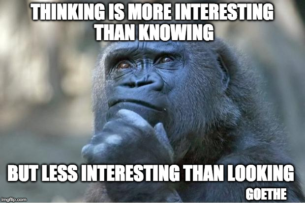 Basically, just stop thinking. | THINKING IS MORE INTERESTING THAN KNOWING; BUT LESS INTERESTING THAN LOOKING; GOETHE | image tagged in the thinking gorilla | made w/ Imgflip meme maker