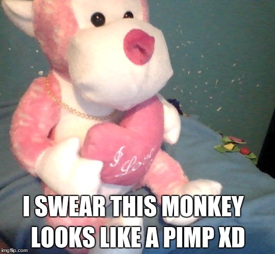 It was so innocent..... until i put the plastic necklace on it XD | LOOKS LIKE A PIMP XD; I SWEAR THIS MONKEY | image tagged in i won the claw machine,memes,funny,it was innocent | made w/ Imgflip meme maker