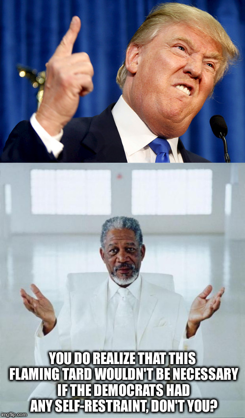 Let's pay for everyone's life! | YOU DO REALIZE THAT THIS FLAMING TARD WOULDN'T BE NECESSARY IF THE DEMOCRATS HAD ANY SELF-RESTRAINT, DON'T YOU? | image tagged in trump,morgan freeman,god | made w/ Imgflip meme maker