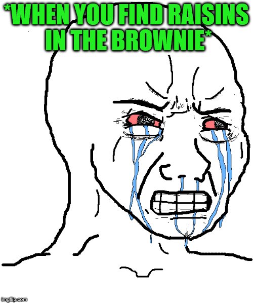 *WHEN YOU FIND RAISINS IN THE BROWNIE* | made w/ Imgflip meme maker