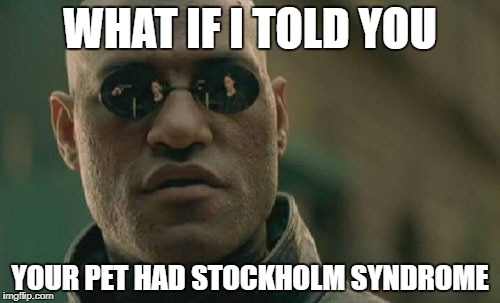 Matrix Morpheus | WHAT IF I TOLD YOU; YOUR PET HAD STOCKHOLM SYNDROME | image tagged in memes,matrix morpheus | made w/ Imgflip meme maker