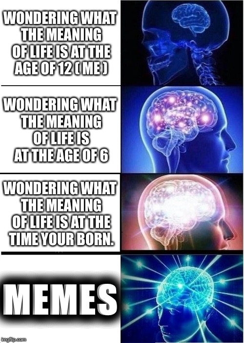 Expanding Brain | WONDERING WHAT THE MEANING OF LIFE IS AT THE AGE OF 12 ( ME ); WONDERING WHAT THE MEANING OF LIFE IS AT THE AGE OF 6; WONDERING WHAT THE MEANING OF LIFE IS AT THE TIME YOUR BORN. MEMES | image tagged in memes,expanding brain,the meaning of life | made w/ Imgflip meme maker