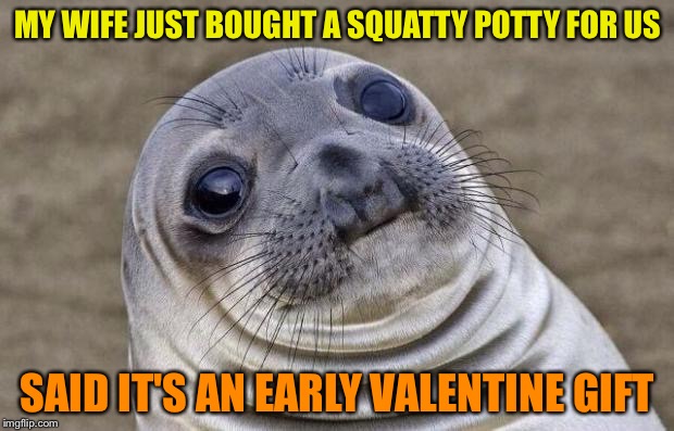 Awkward Moment Sealion Meme | MY WIFE JUST BOUGHT A SQUATTY POTTY FOR US; SAID IT'S AN EARLY VALENTINE GIFT | image tagged in memes,awkward moment sealion | made w/ Imgflip meme maker