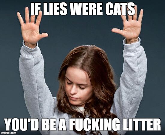 Just don't lie | IF LIES WERE CATS; YOU'D BE A FUCKING LITTER | image tagged in memes,funny meme | made w/ Imgflip meme maker