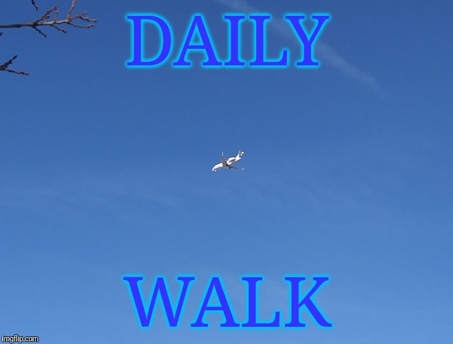 DAILY; WALK | made w/ Imgflip meme maker