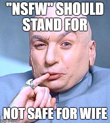 Dr Evil | "NSFW" SHOULD STAND FOR; NOT SAFE FOR WIFE | image tagged in dr evil | made w/ Imgflip meme maker