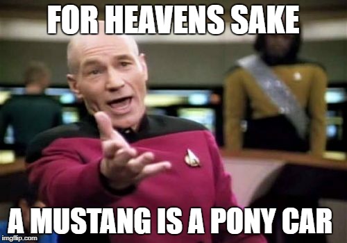 Picard Wtf Meme | FOR HEAVENS SAKE A MUSTANG IS A PONY CAR | image tagged in memes,picard wtf | made w/ Imgflip meme maker