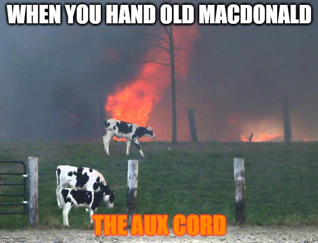 old macdonald HAD  a farm | WHEN YOU HAND OLD MACDONALD; THE AUX CORD | image tagged in memes,aux cord | made w/ Imgflip meme maker