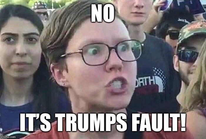 NO IT’S TRUMPS FAULT! | made w/ Imgflip meme maker