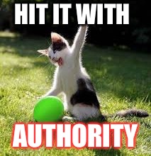 HIT IT WITH AUTHORITY | made w/ Imgflip meme maker