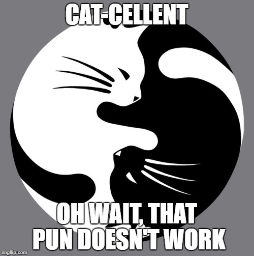 CAT-CELLENT OH WAIT, THAT PUN DOESN'T WORK | made w/ Imgflip meme maker