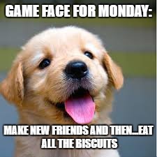 GAME FACE FOR MONDAY:; MAKE NEW FRIENDS AND THEN...EAT ALL THE BISCUITS | image tagged in memes | made w/ Imgflip meme maker