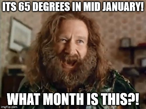What Year Is It Meme | ITS 65 DEGREES IN MID JANUARY! WHAT MONTH IS THIS?! | image tagged in memes,what year is it | made w/ Imgflip meme maker