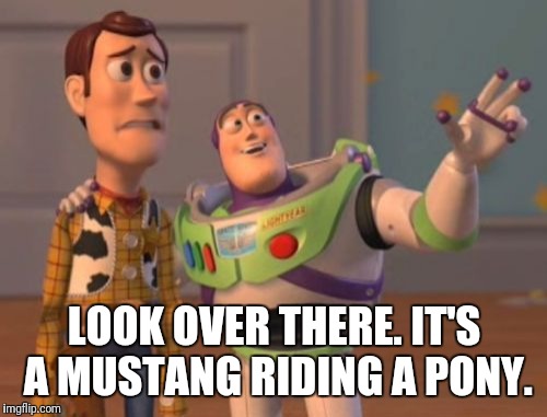 X, X Everywhere Meme | LOOK OVER THERE. IT'S A MUSTANG RIDING A PONY. | image tagged in memes,x x everywhere | made w/ Imgflip meme maker