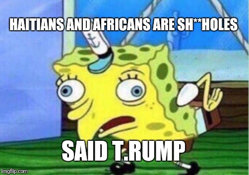 Mocking Spongebob Meme | HAITIANS AND AFRICANS ARE SH**HOLES; SAID T.RUMP | image tagged in memes,mocking spongebob,donald trump,trump,africa,racist | made w/ Imgflip meme maker