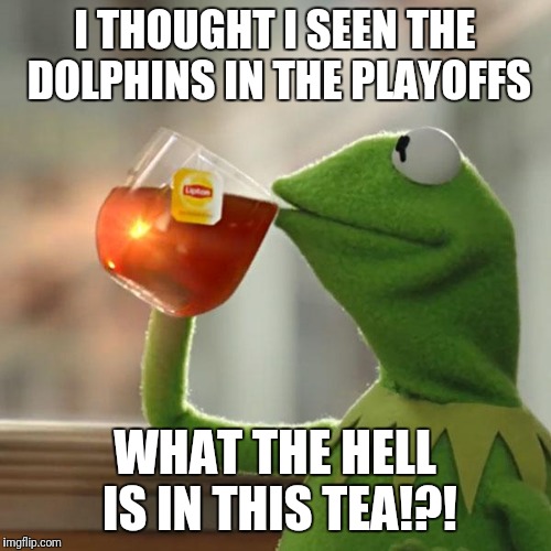 But That's None Of My Business Meme | I THOUGHT I SEEN THE DOLPHINS IN THE PLAYOFFS; WHAT THE HELL IS IN THIS TEA!?! | image tagged in memes,but thats none of my business,kermit the frog | made w/ Imgflip meme maker