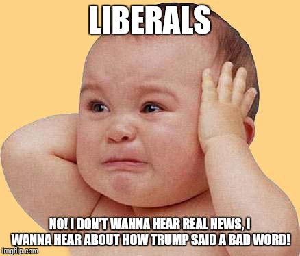 LIBERALS; NO! I DON'T WANNA HEAR REAL NEWS, I WANNA HEAR ABOUT HOW TRUMP SAID A BAD WORD! | image tagged in donald trump,fake news | made w/ Imgflip meme maker