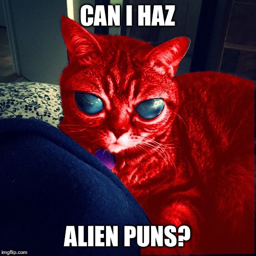 RayCat Aliens | CAN I HAZ ALIEN PUNS? | image tagged in raycat aliens | made w/ Imgflip meme maker