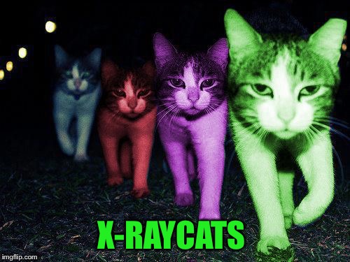 Wrong Neighborhood RayCats | X-RAYCATS | image tagged in wrong neighborhood raycats | made w/ Imgflip meme maker