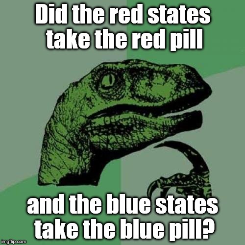 Know what I mean? | Did the red states take the red pill; and the blue states take the blue pill? | image tagged in memes,philosoraptor,matrix pills,red pill,blue pill | made w/ Imgflip meme maker