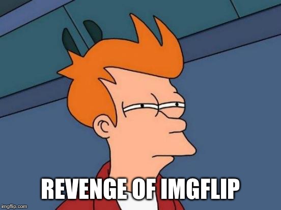 Futurama Fry Meme | REVENGE OF IMGFLIP | image tagged in memes,futurama fry | made w/ Imgflip meme maker