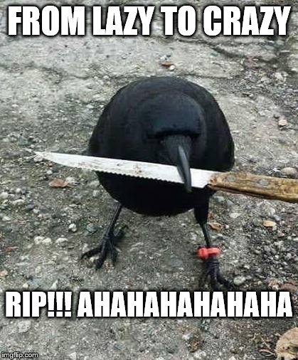 Thug Life Crow | FROM LAZY TO CRAZY; RIP!!! AHAHAHAHAHAHA | image tagged in thug life crow | made w/ Imgflip meme maker