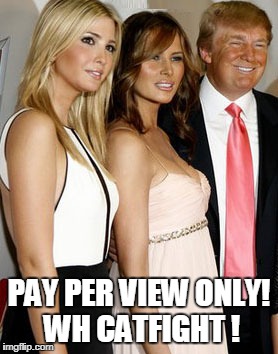 Latest Trump Moneymaker! | PAY PER VIEW ONLY! WH CATFIGHT ! | image tagged in ivanka melania | made w/ Imgflip meme maker
