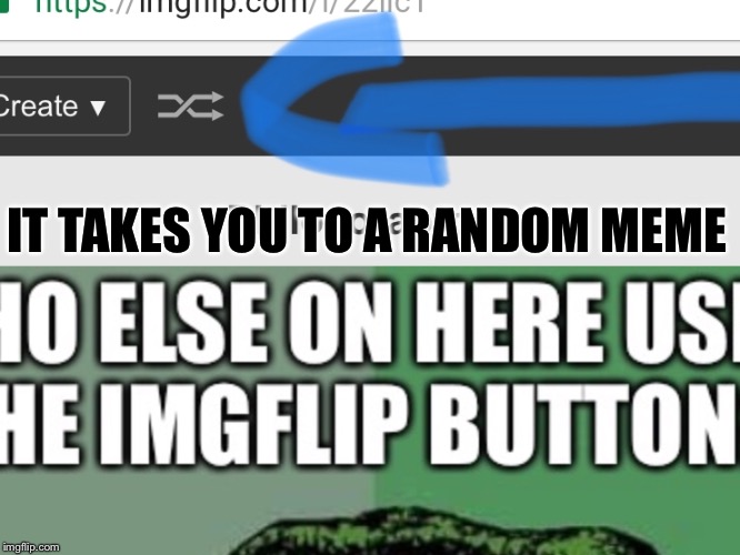 I Personally never use the imgflip button. | IT TAKES YOU TO A RANDOM MEME | image tagged in imgflip,information,button,funny,philosoraptor,meme | made w/ Imgflip meme maker