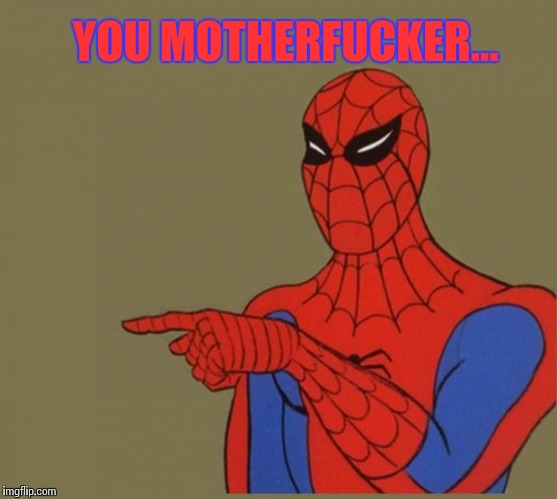 Spiderman Disagrees | YOU MOTHERFUCKER... | image tagged in spiderman disagrees | made w/ Imgflip meme maker