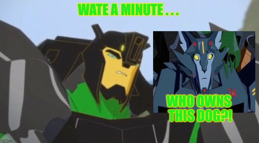 Dog? | WATE A MINUTE . . . WHO OWNS THIS DOG?! | image tagged in transformers,doggie,grimlock,steeljaw | made w/ Imgflip meme maker