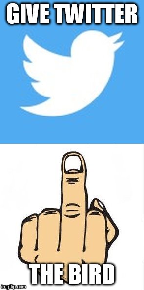 Give Twitter the Bird | GIVE TWITTER; THE BIRD | image tagged in twitter | made w/ Imgflip meme maker