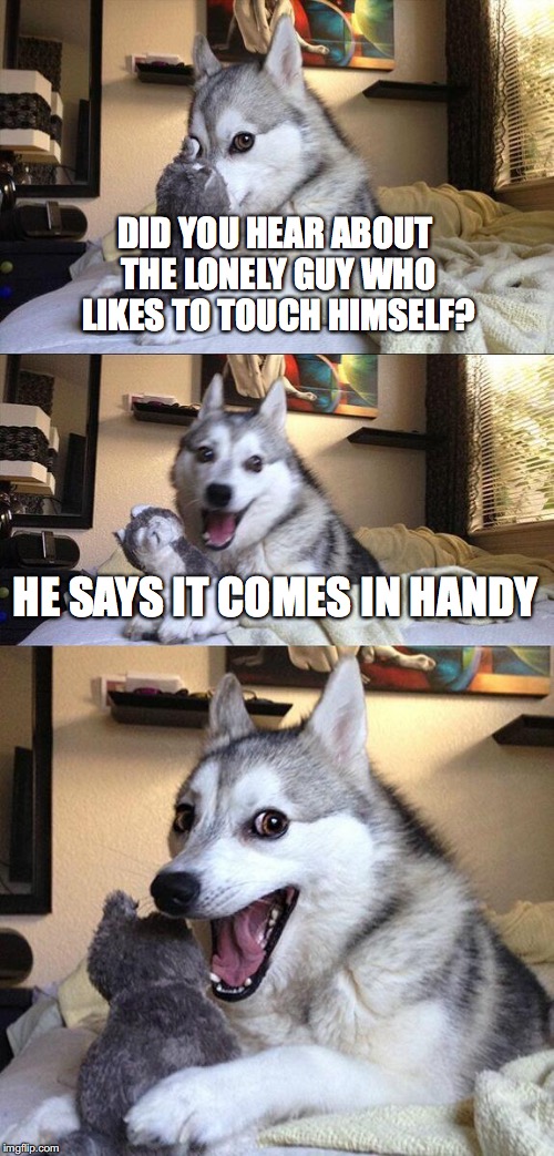 Bad Pun Dog | DID YOU HEAR ABOUT THE LONELY GUY WHO LIKES TO TOUCH HIMSELF? HE SAYS IT COMES IN HANDY | image tagged in memes,bad pun dog | made w/ Imgflip meme maker