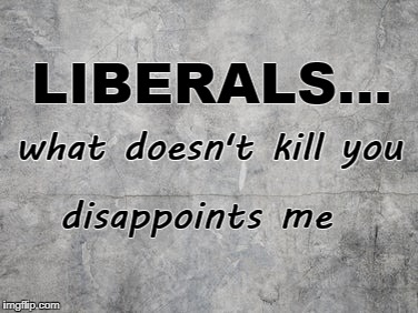 Liberals: what doesn't kill you | LIBERALS... what doesn't kill you; disappoints me | image tagged in smudge grey background,liberals,disappoint me,kill | made w/ Imgflip meme maker