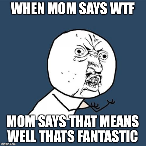 Y U No Meme | WHEN MOM SAYS WTF; MOM SAYS THAT MEANS WELL THATS FANTASTIC | image tagged in memes,y u no | made w/ Imgflip meme maker