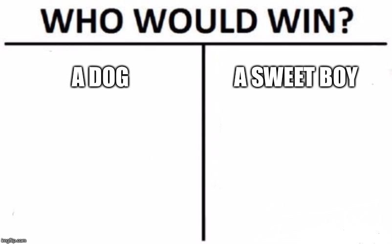 Who Would Win? Meme | A DOG; A SWEET BOY | image tagged in memes,who would win | made w/ Imgflip meme maker