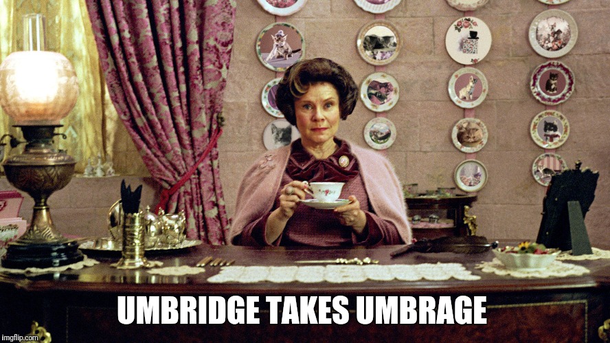 Umbridge | UMBRIDGE TAKES UMBRAGE | image tagged in umbridge | made w/ Imgflip meme maker