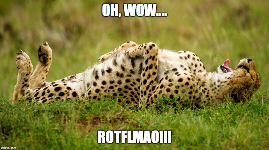 OH, WOW.... ROTFLMAO!!! | made w/ Imgflip meme maker