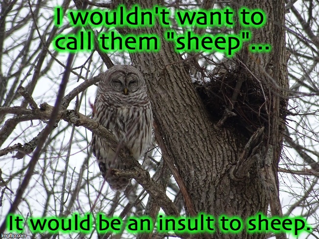 I wouldn't want to call them "sheep"... It would be an insult to sheep. | made w/ Imgflip meme maker