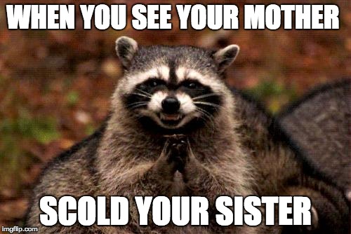Evil Plotting Raccoon Meme | WHEN YOU SEE YOUR MOTHER; SCOLD YOUR SISTER | image tagged in memes,evil plotting raccoon | made w/ Imgflip meme maker