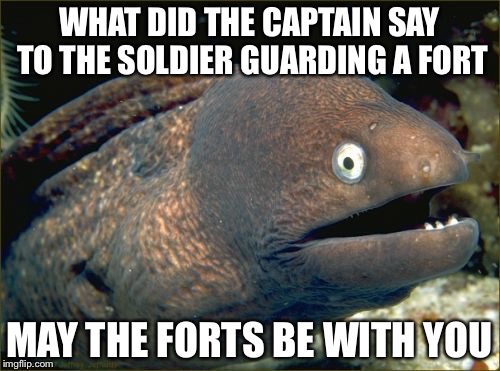 Army jokes.... | WHAT DID THE CAPTAIN SAY TO THE SOLDIER GUARDING A FORT; MAY THE FORTS BE WITH YOU | image tagged in memes,bad joke eel | made w/ Imgflip meme maker