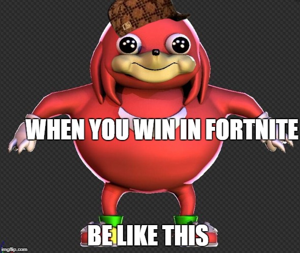 WHEN YOU WIN IN FORTNITE; BE LIKE THIS | image tagged in da wae | made w/ Imgflip meme maker