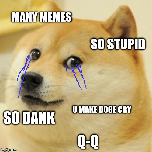 Doge | MANY MEMES; SO STUPID; U MAKE DOGE CRY; SO DANK; Q-Q | image tagged in memes,doge | made w/ Imgflip meme maker