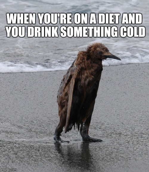 WHEN YOU'RE ON A DIET AND YOU DRINK SOMETHING COLD | made w/ Imgflip meme maker