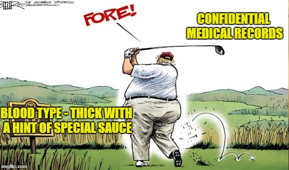 Two Scoop Mcburger | CONFIDENTIAL MEDICAL RECORDS; BLOOD TYPE - THICK WITH A HINT OF SPECIAL SAUCE | image tagged in trump | made w/ Imgflip meme maker
